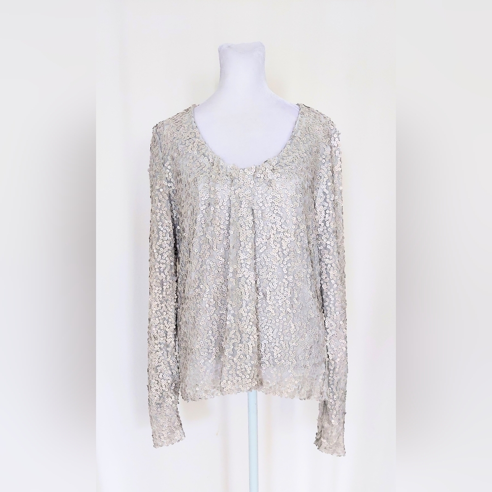 Allison Joy Nina Matte Sequins V Neck Long Sleeve Blouse Top Gray Size Medium